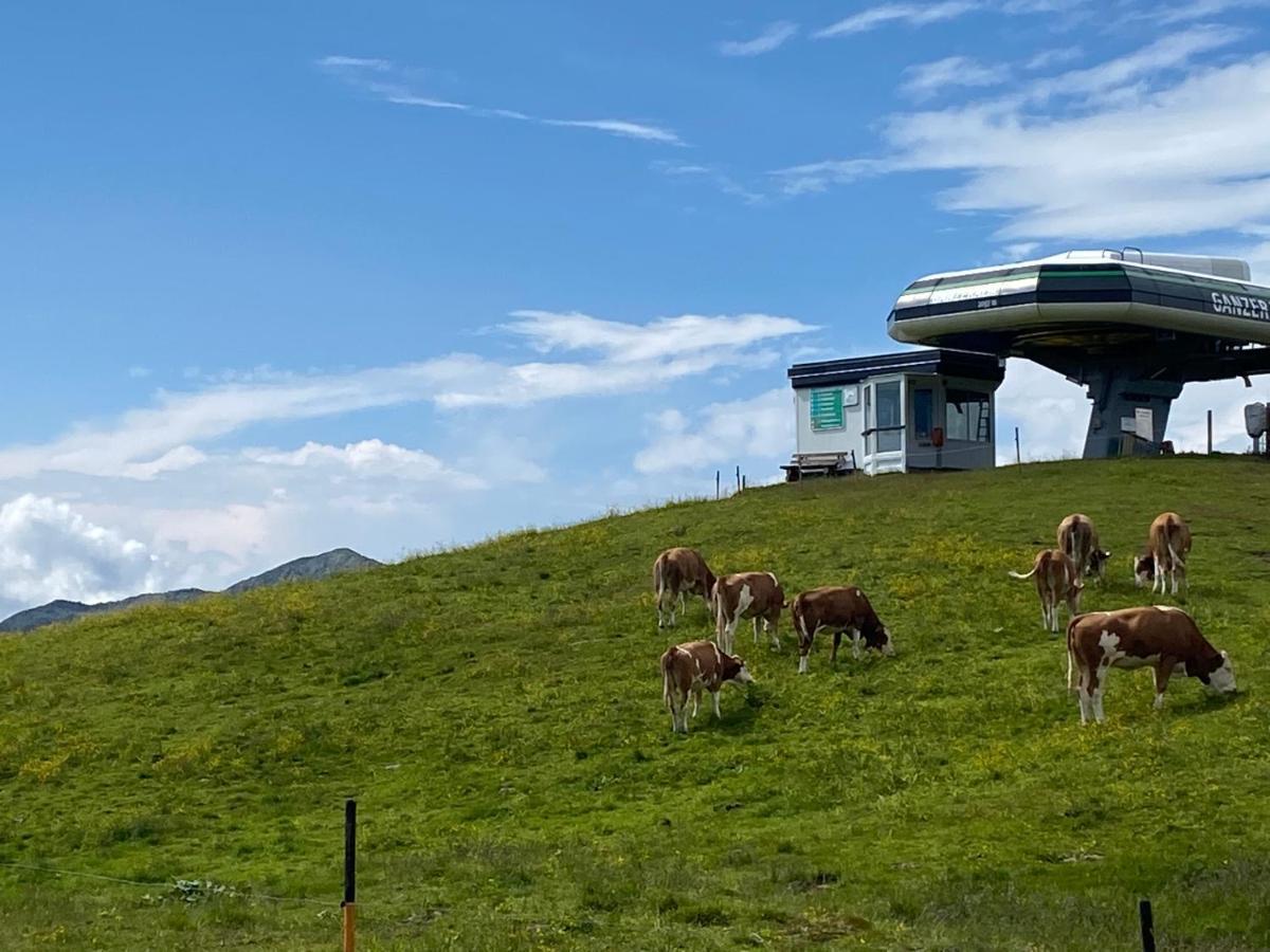 Penthaus Kitzebueheler Alpen Apartamento Neukirchen am Großvenediger Exterior foto